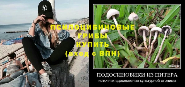 спиды Богородск