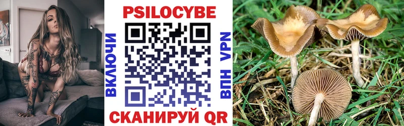 Псилоцибиновые грибы Magic Shrooms  Михайловск 