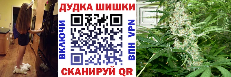 где купить наркоту  Михайловск  mega ТОР  Бошки Шишки Ganja 